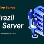 Brazil VPS Server (3)