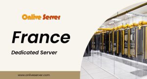 France Dedicated Server
